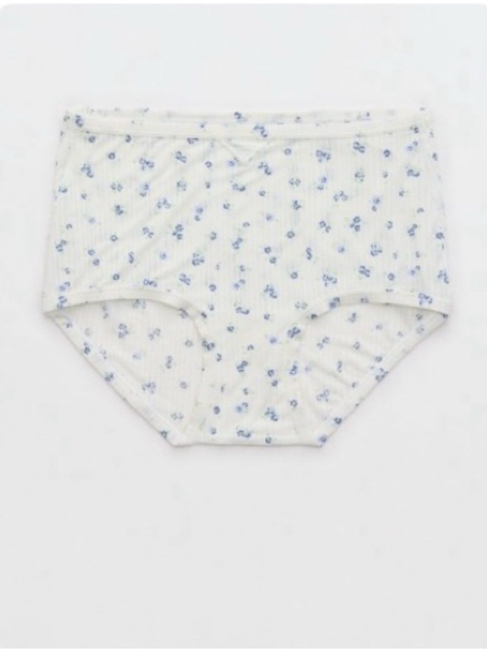 NWT Aerie Superchill Modal Rib Super High Waist Boybrief Panty